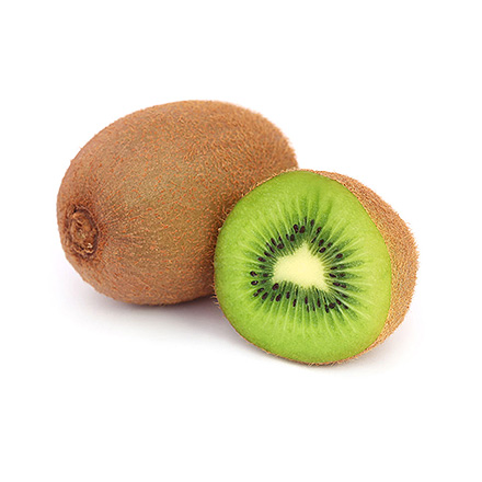 开云体育注册官网登录入口产品中心一