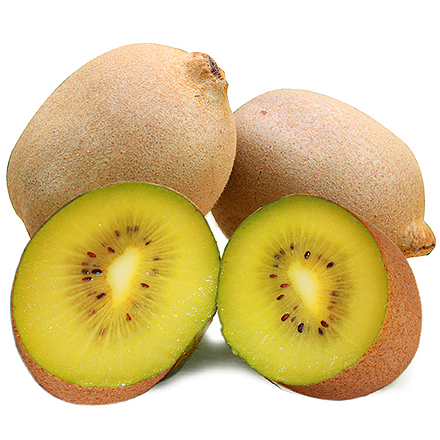 开云体育注册官网登录入口产品中心四