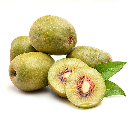 开云体育注册官网登录入口产品中心八